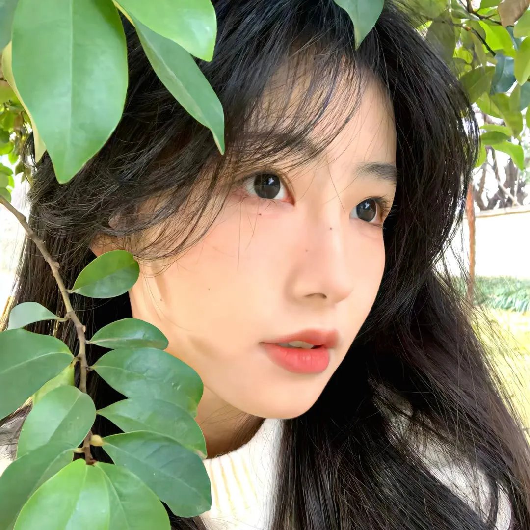 战争不相信眼泪